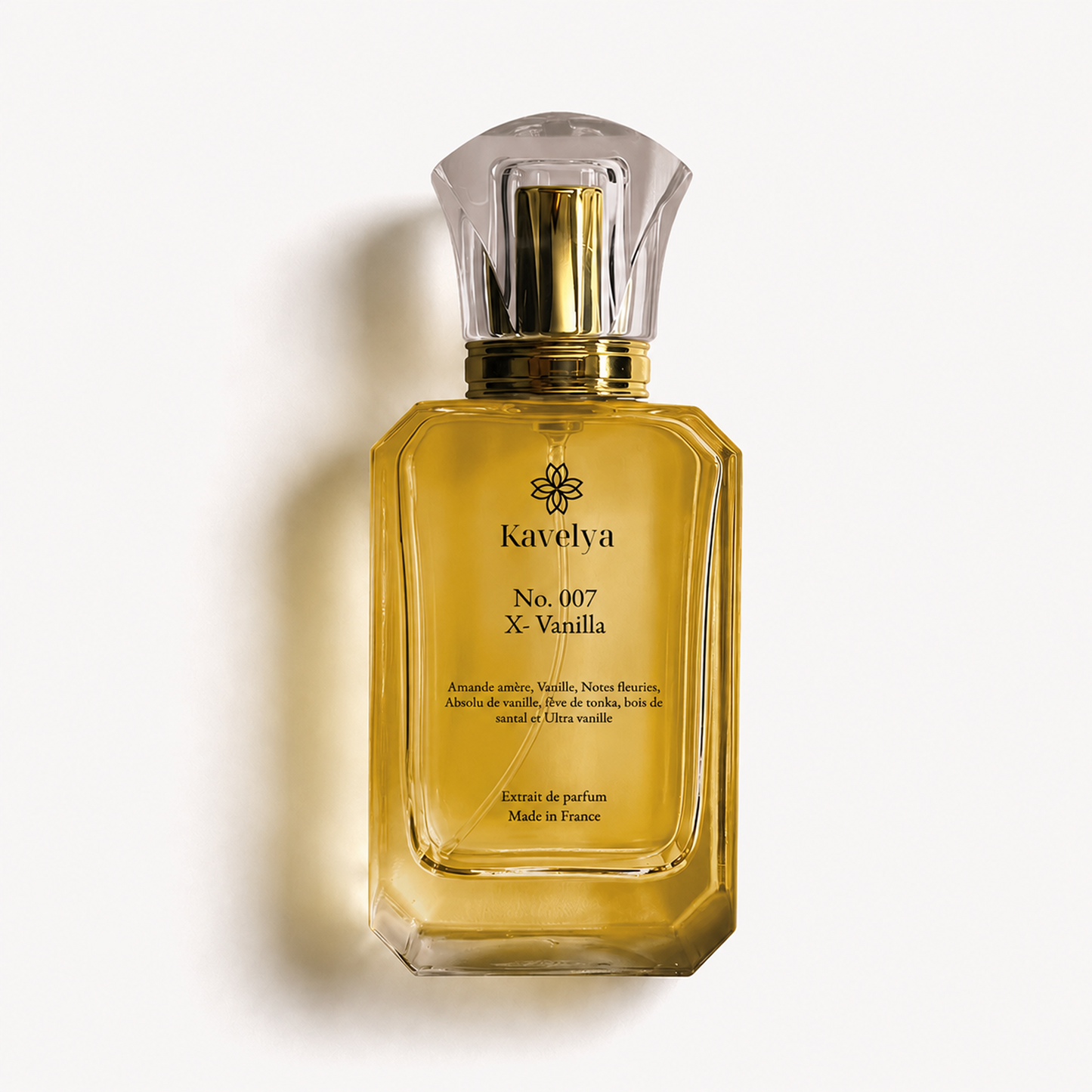 X-Vanilla 007 – Extrait de Parfum Gourmand Boisé Mixte Longue Tenue | Inspiration Vanilla Sex – Tom Ford