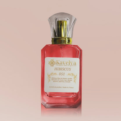 maison crivelli hibiscus mahajad